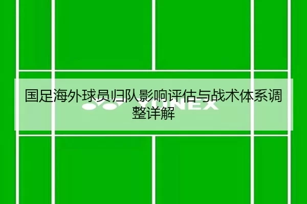 国足海外球员归队影响评估与战术体系调整详解